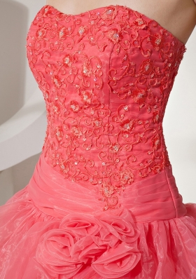 Organza Coral Red Prom Gown Dress Embroidery