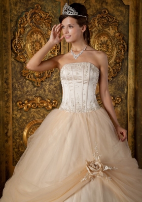 Champagne Strapless Floral Appliques Tulle Quinceanera Gowns