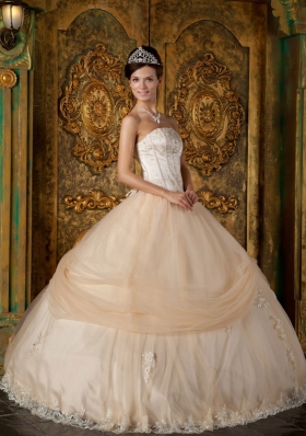 Champagne Strapless Floral Appliques Tulle Quinceanera Gowns