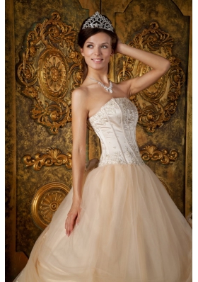 Champagne Strapless Floral Appliques Tulle Quinceanera Gowns