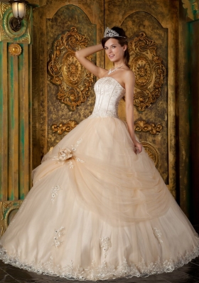 Champagne Strapless Floral Appliques Tulle Quinceanera Gowns