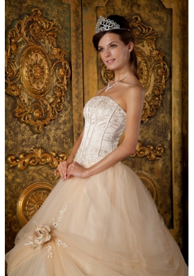 Champagne Strapless Floral Appliques Tulle Quinceanera Gowns