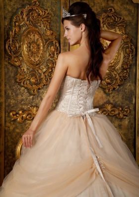 Champagne Strapless Floral Appliques Tulle Quinceanera Gowns