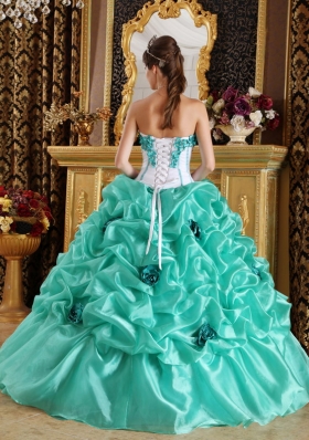 Turquoise 15 Quinceanera Dress Organza Handmade Flowers