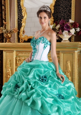 Turquoise 15 Quinceanera Dress Organza Handmade Flowers