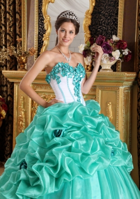 Turquoise 15 Quinceanera Dress Organza Handmade Flowers