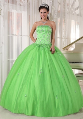 Appliques Spring Green Ball Gown Quinceanera Dress