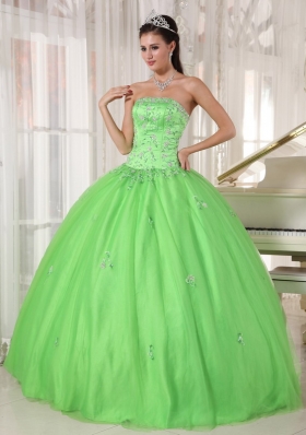 Appliques Spring Green Ball Gown Quinceanera Dress