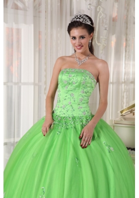 Appliques Spring Green Ball Gown Quinceanera Dress