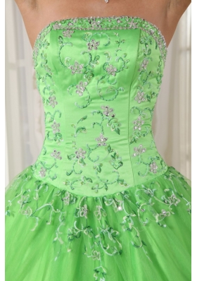 Appliques Spring Green Ball Gown Quinceanera Dress