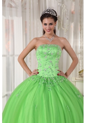 Appliques Spring Green Ball Gown Quinceanera Dress