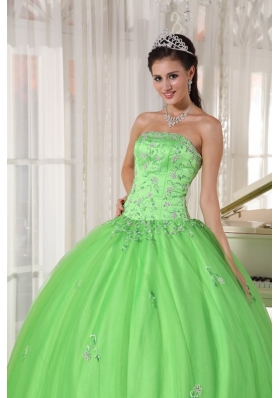 Appliques Spring Green Ball Gown Quinceanera Dress