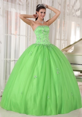 Appliques Spring Green Ball Gown Quinceanera Dress