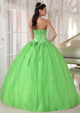 Appliques Spring Green Ball Gown Quinceanera Dress