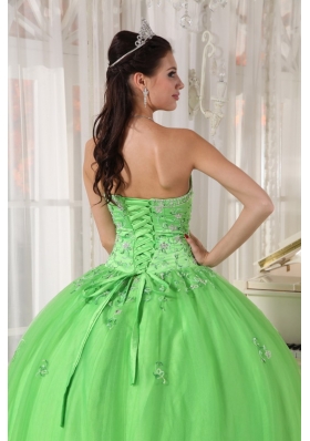 Appliques Spring Green Ball Gown Quinceanera Dress