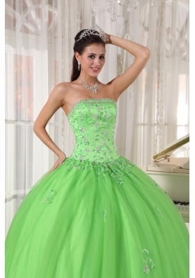 Appliques Spring Green Ball Gown Quinceanera Dress