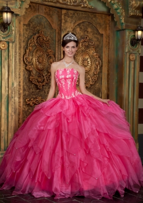 Ball Gown Appliques Organza Hot Pink Quinceanera Dress