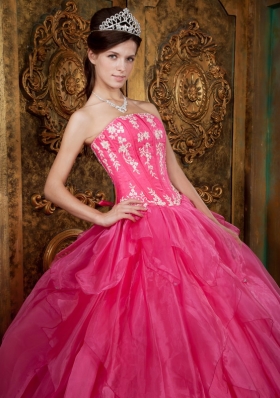 Ball Gown Appliques Organza Hot Pink Quinceanera Dress