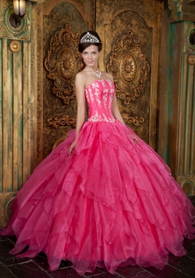 Ball Gown Appliques Organza Hot Pink Quinceanera Dress