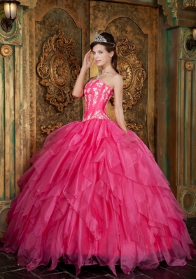 Ball Gown Appliques Organza Hot Pink Quinceanera Dress