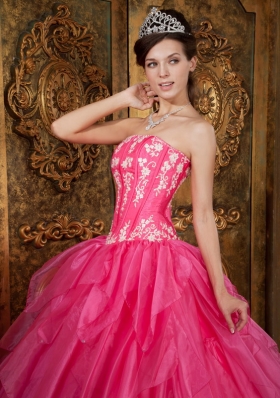 Ball Gown Appliques Organza Hot Pink Quinceanera Dress