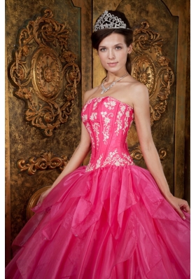 Ball Gown Appliques Organza Hot Pink Quinceanera Dress