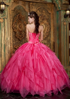 Ball Gown Appliques Organza Hot Pink Quinceanera Dress