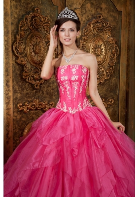 Ball Gown Appliques Organza Hot Pink Quinceanera Dress