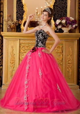 Hot Pink and Black Quinceanera Dress Embroidery Ball Gown