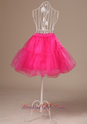 Perfect Hot Pink Petticoat Organza Mini-length