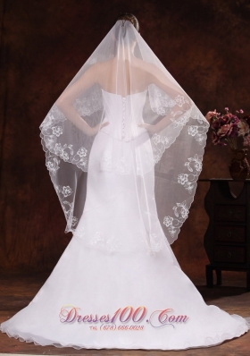 Organza Veil for Wedding Embroidery and Two-tier