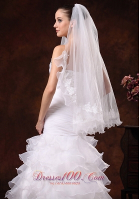 Veils for Brides Tulle with Lace Appliques Edge