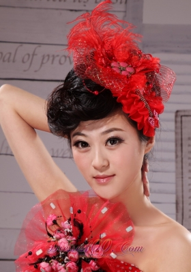 Tulle Feather Red Women Hairpins Birdcage Veils