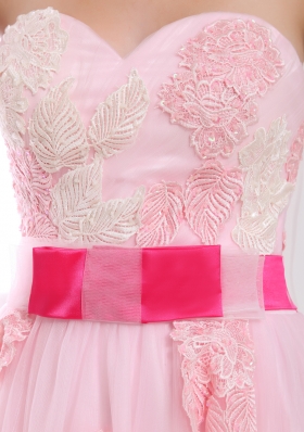 Baby Pink Sweetheart Appliques Organza Prom Dress