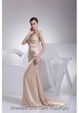 Diamonds Decorated Wide Straps Sheath Brush Train Prom Gowns