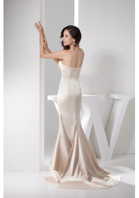 Strapless Sheath Prom Gown in Champagne with Watteau Train