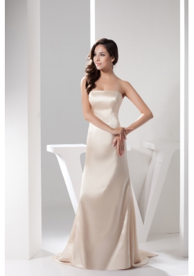 Strapless Sheath Prom Gown in Champagne with Watteau Train