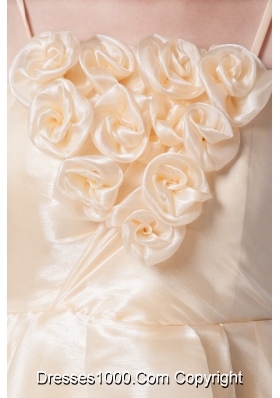 Spaghetti Straps A-line Organza Prom Dresseswith Handle Flowers