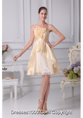 Spaghetti Straps A-line Organza Prom Dresseswith Handle Flowers