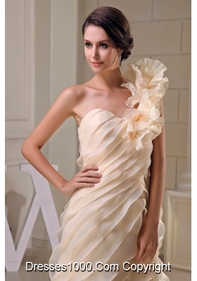 Ruffles One Shoulder Tiers Brush Train Wedding Dresses in Champagne