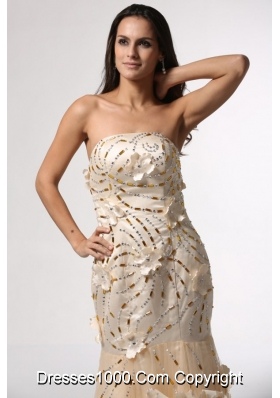 Champagne Column Prom Gown Dress with Floral Embellishment