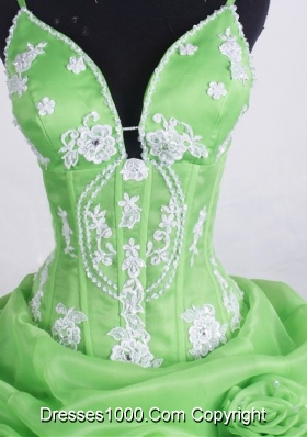 Beautiful Ball Gown Straps Floor-length Spring Green Quinceanera Dresses