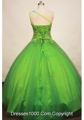 Gorgeous Ball gown One Shoulder Neck Floor-length Tulle Spring Green Quinceanera Dress