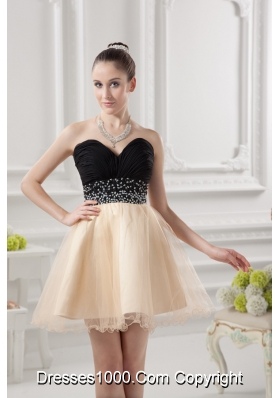 Sweetheart Organza Beading Organza Champagne Prom Dress