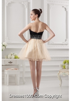 Sweetheart Organza Beading Organza Champagne Prom Dress