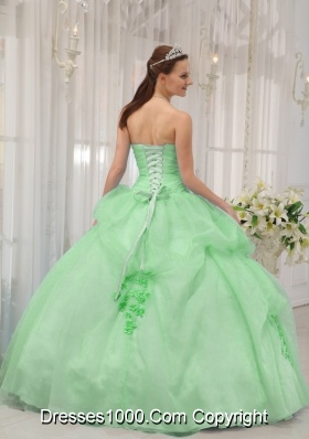 Classical Quinceanera Dress in Apple Green Ball Gown Sweetheart with Appliques