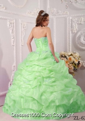 Exclusive Ball Gown Strapless with Appliques in Apple Green Quinceanera Dress