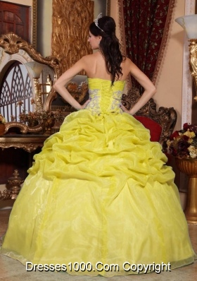 Organza Strapless Pick-ups and Appliques Quinceanera Gowns