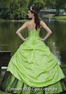 Spring Green Appliques Custom Made 2014 Quinceanera Dresses 15