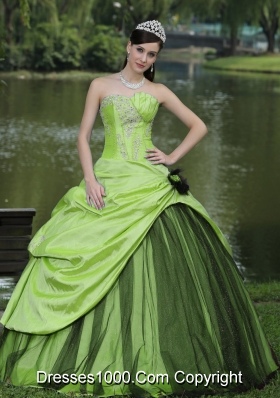Spring Green Appliques Custom Made 2014 Quinceanera Dresses 15